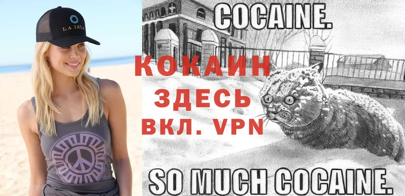 kraken ССЫЛКА  Ковров  Cocaine 98% 